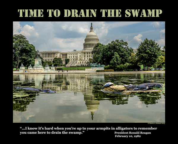 KA_Komar_DraintheSwamp-600